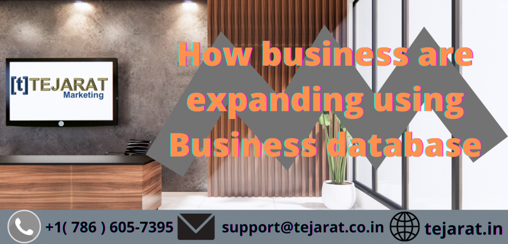 How Business Are Expanding Using Business Database